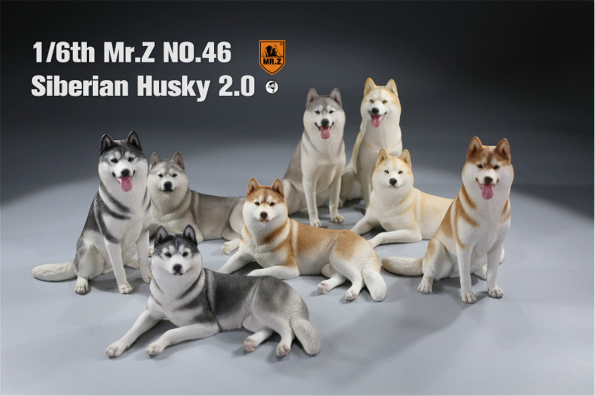 Mr.Z&JXK 1/6 Siberian Husky 2.0 Figure