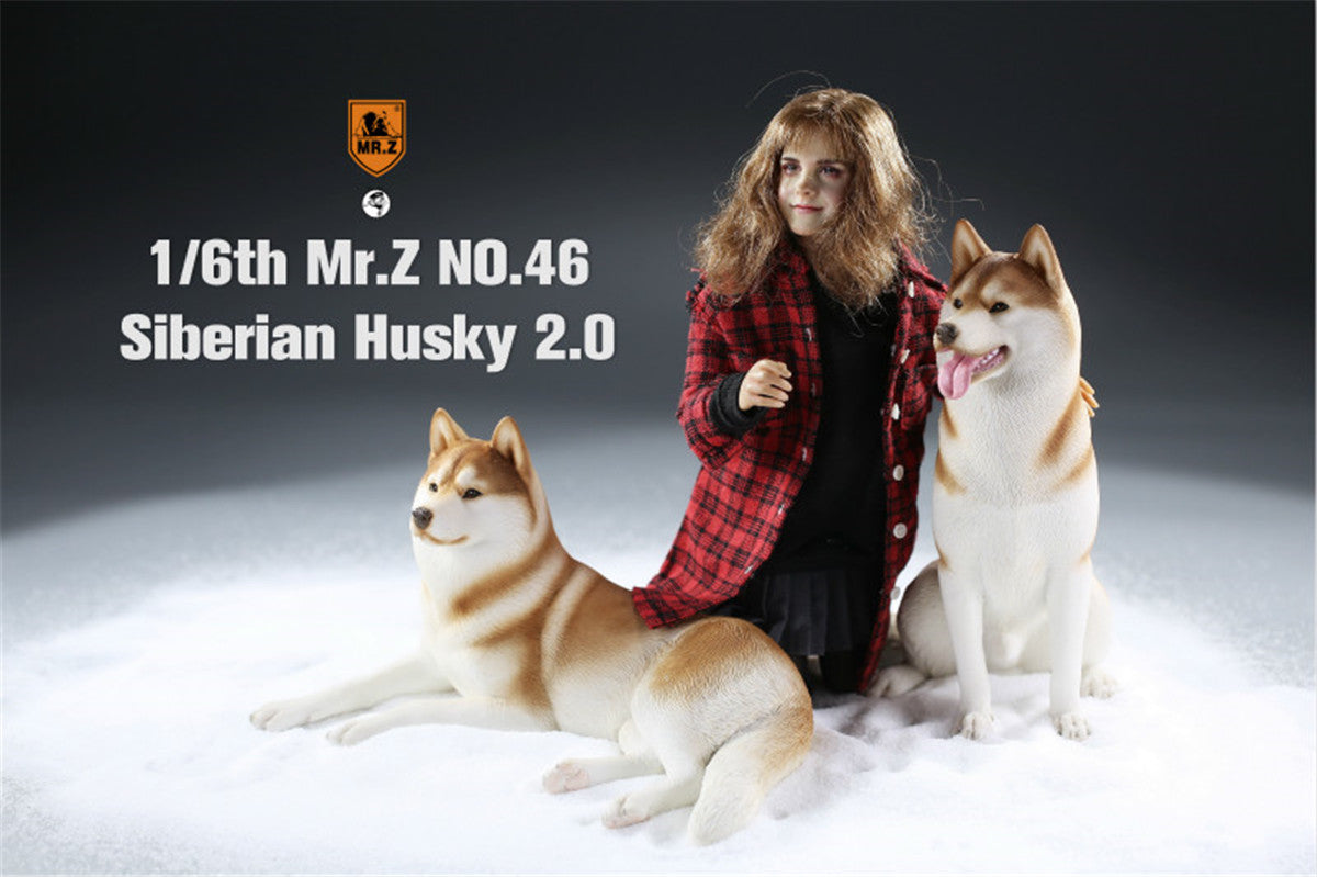 Mr.Z&JXK 1/6 Siberian Husky 2.0 Figure