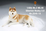Mr.Z&JXK 1/6 Siberian Husky 2.0 Figure