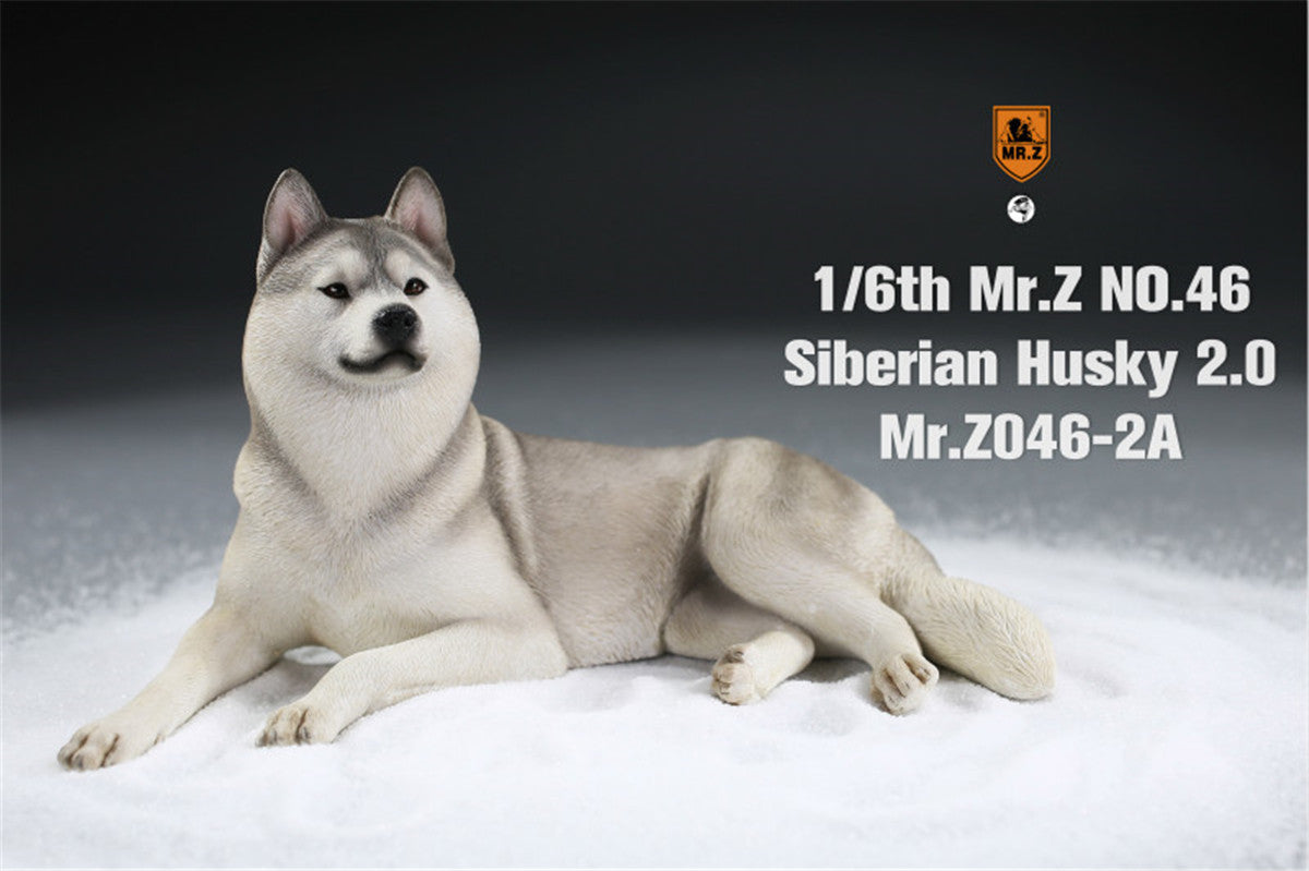 Mr.Z&JXK 1/6 Siberian Husky 2.0 Figure