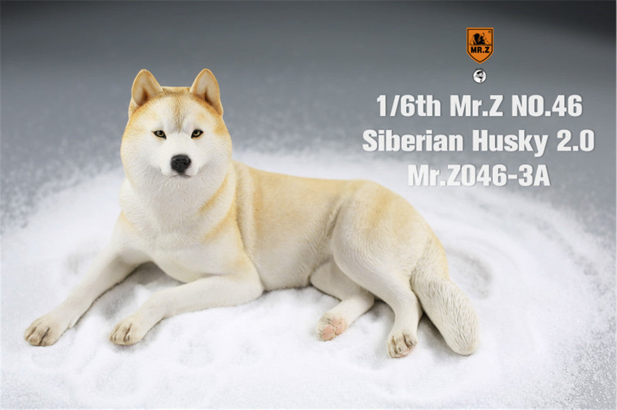 siberian husky CD4枚 Mr.Z&JXK 1/6 Siberian Husky 2.0 Figure – Lana Time Shop