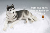 Mr.Z&JXK 1/6 Siberian Husky 2.0 Figure