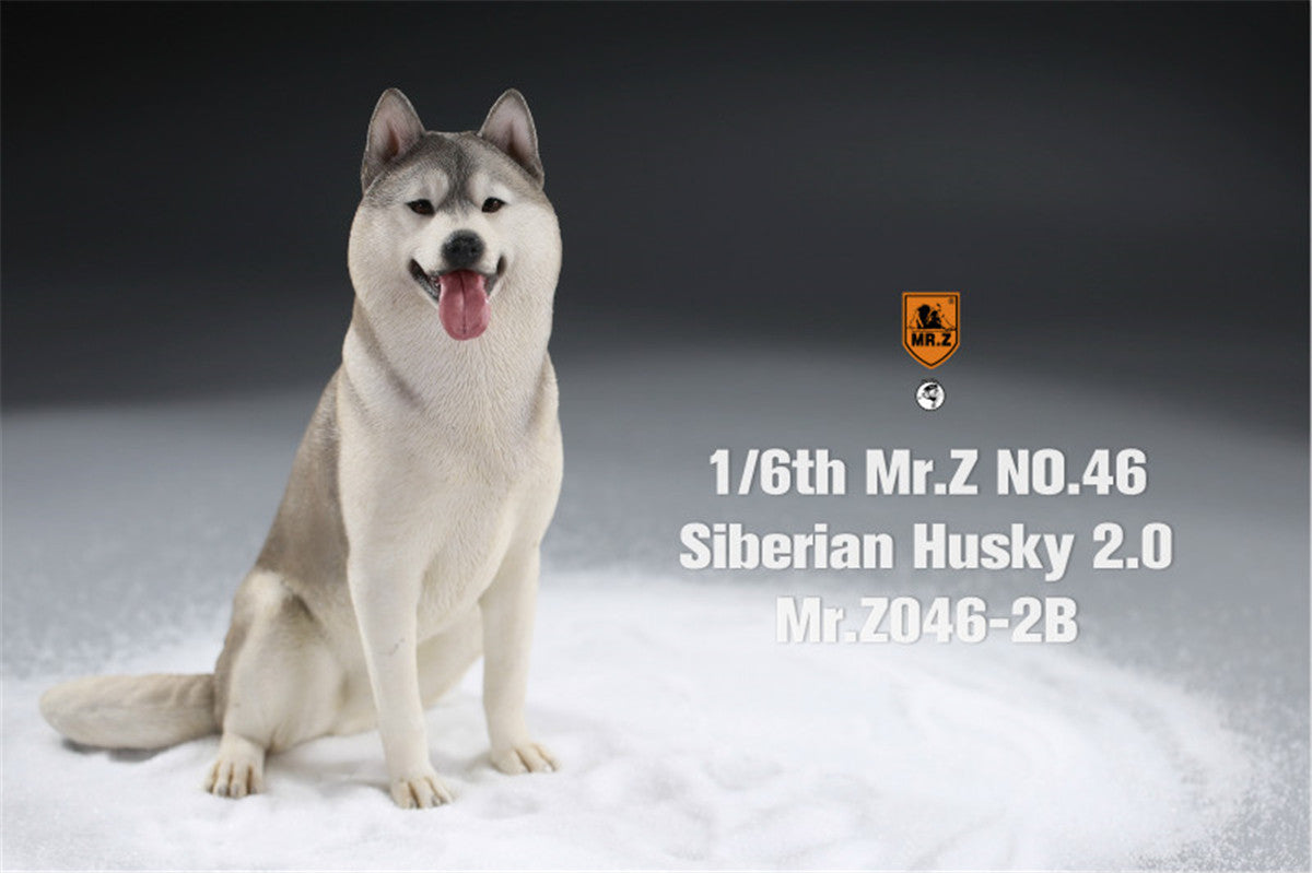 専門店では Husky Siberian 1/6 Mr.Z&JXK 2.0 Shop Time Lana – Figure DJ機材