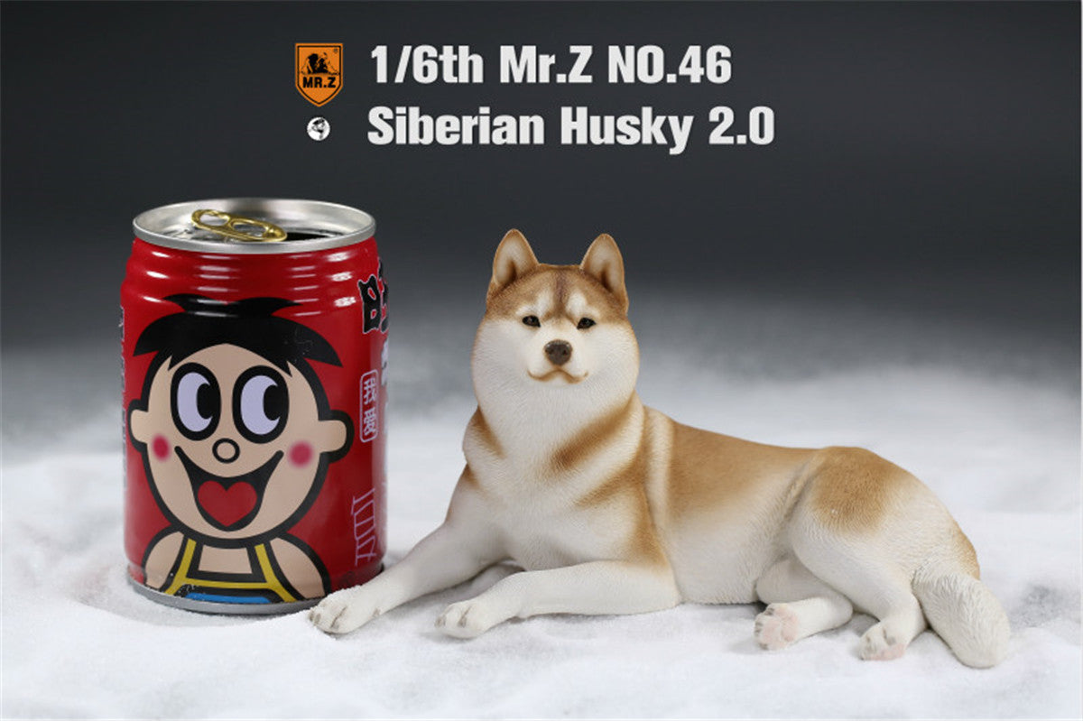 Mr.Z&JXK 1/6 Siberian Husky 2.0 Figure