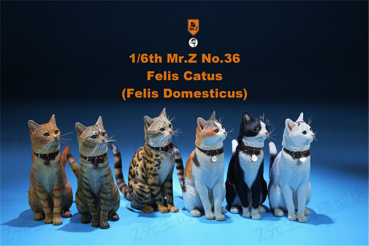 Mr.Z 1/6 Domestic Cat Figure