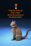 Mr.Z 1/6 Domestic Cat Figure