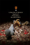 Mr.Z 1/6 3Pcs Squirrel Figure