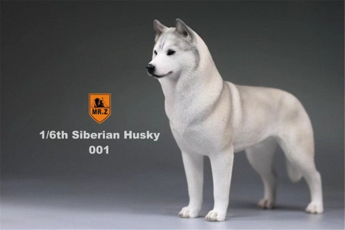 1/6 12インチ Mr.Z シベリアンハスキー Mr.Z 1/6 Siberian Husky Figure – Lana Time Shop