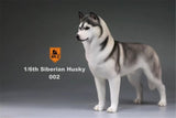 Mr.Z 1/6 Siberian Husky Figure