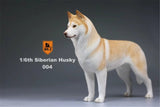 Mr.Z 1/6 Siberian Husky Figure