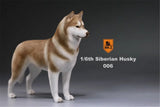 Mr.Z 1/6 Siberian Husky Figure