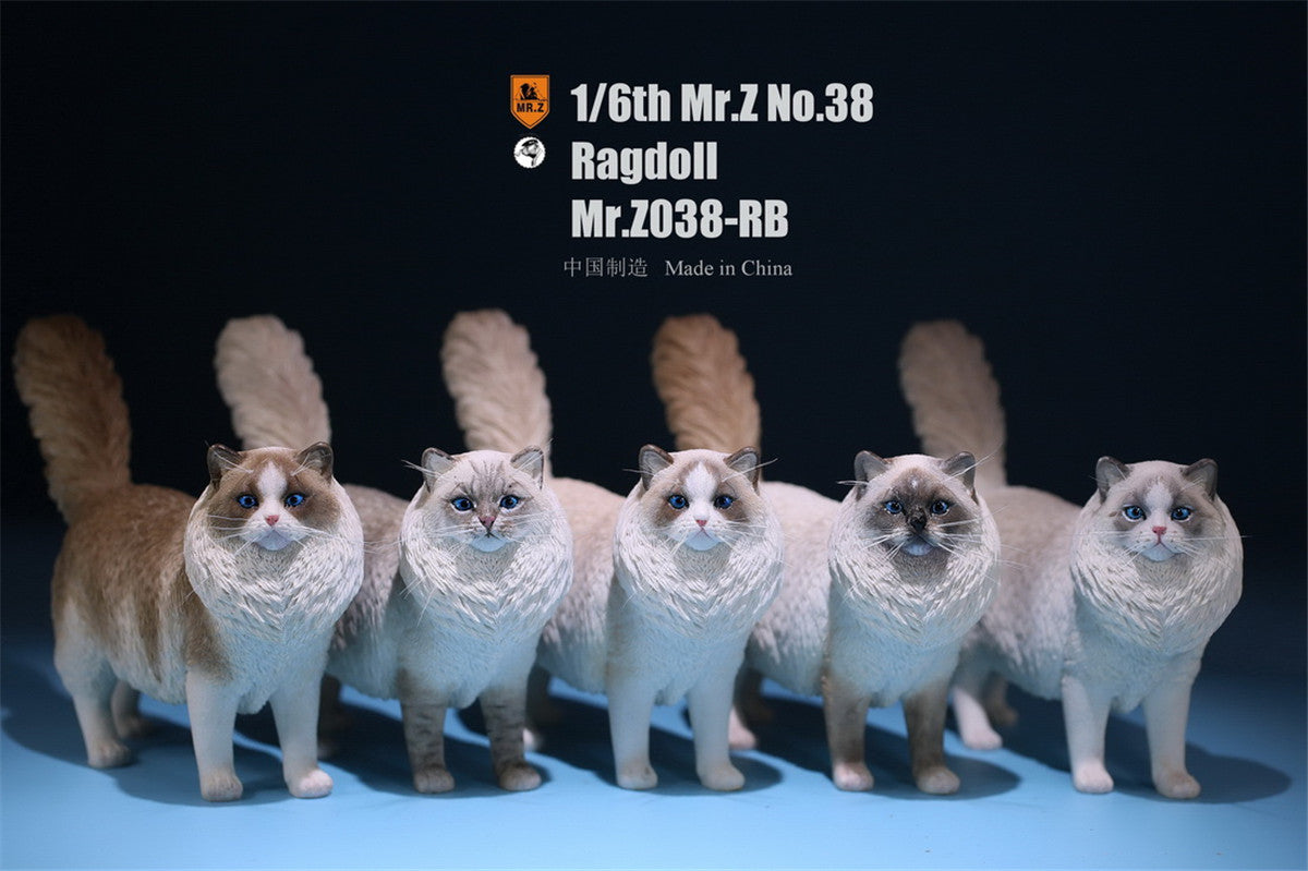 Mr.Z 1/6 Ragdoll Figure