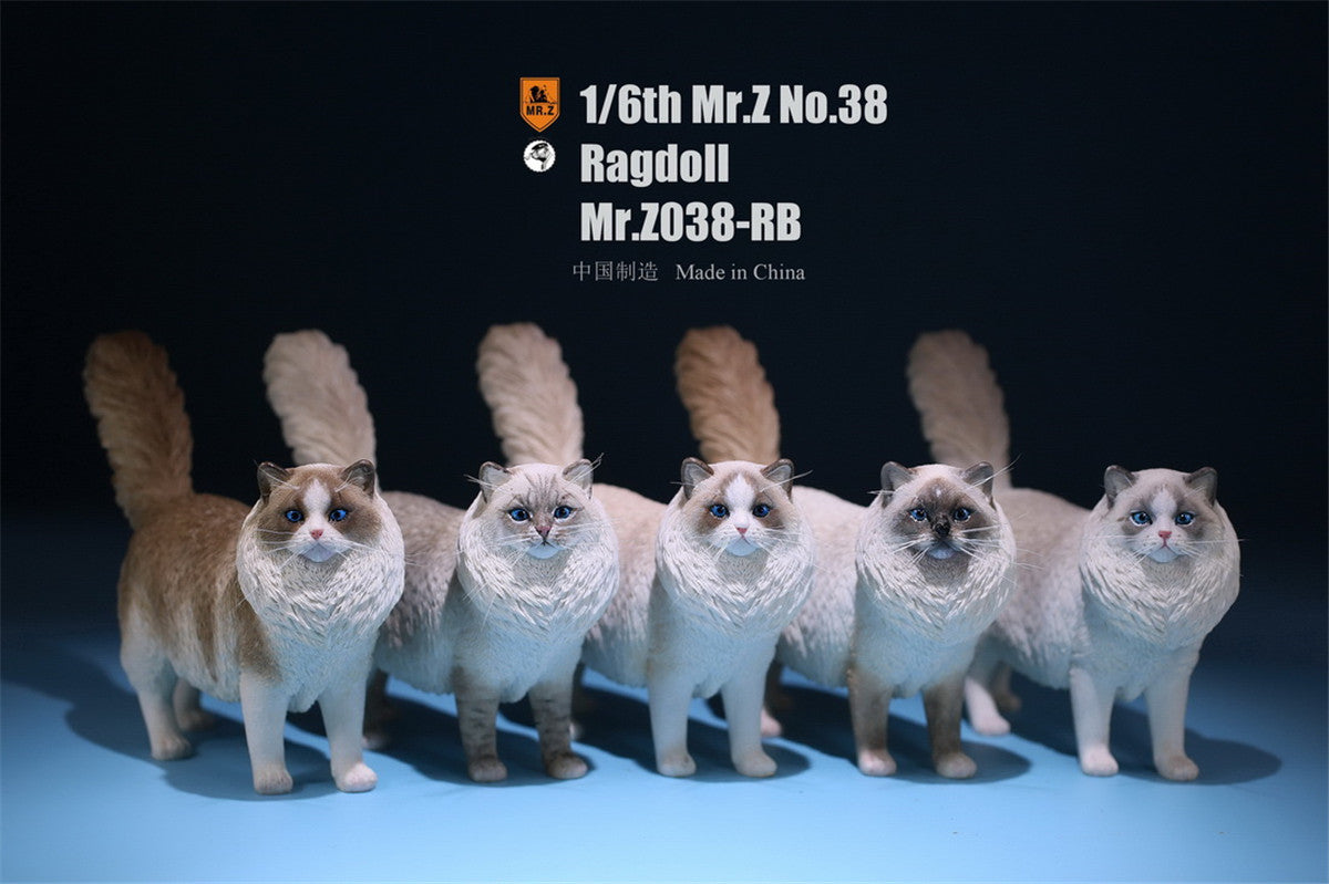 Mr.Z 1/6 Ragdoll Figure – Lana Time Shop