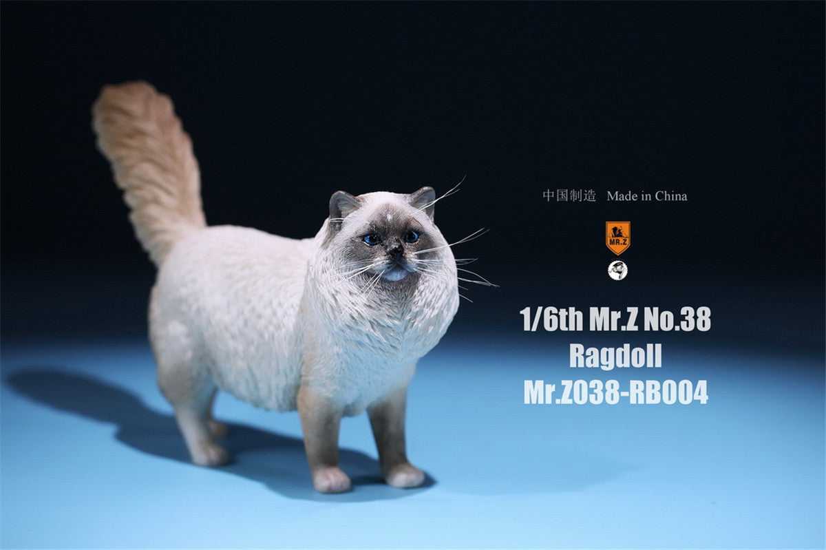 Mr.Z 1/6 Ragdoll Figure – Lana Time Shop