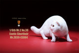 Mr.Z 1/6 Exotic Shorthair Figure