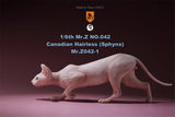 Mr.Z 1/6 Canadian Hairless Figure