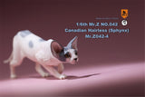 Mr.Z 1/6 Canadian Hairless Figure