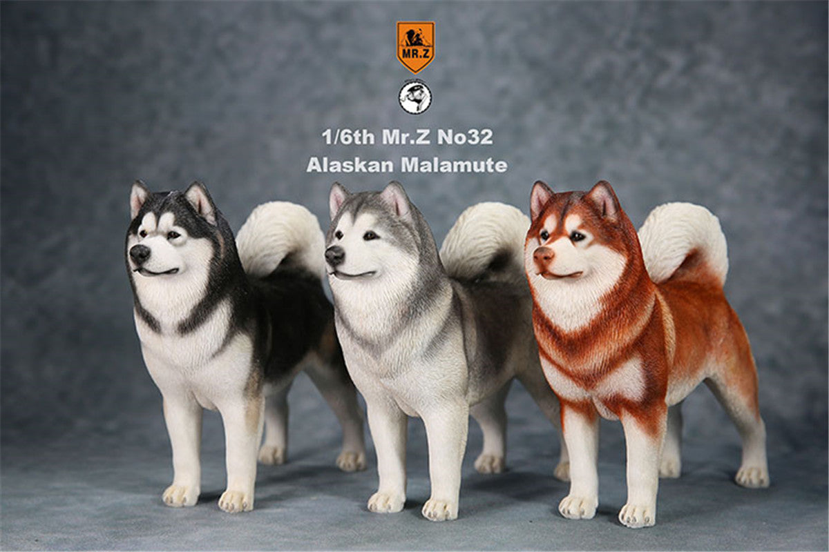 Mr.Z 1/6th Alaskan Malamute Figure