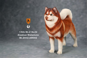 Mr.Z 1/6th Alaskan Malamute Figure