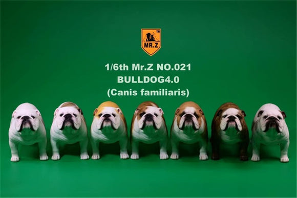 Mr.Z 2Pcs/Set British Bulldog Figure