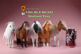 Mr.Z 1/6 Shetland Pony Horse Figure