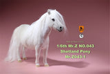 Mr.Z 1/6 Shetland Pony Horse Figure