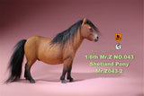 Mr.Z 1/6 Shetland Pony Horse Figure