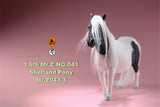 Mr.Z 1/6 Shetland Pony Horse Figure