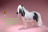 Mr.Z 1/6 Shetland Pony Horse Figure