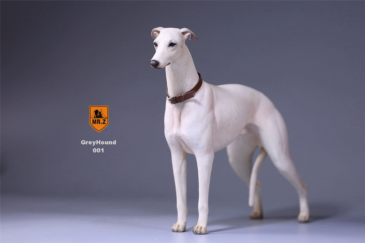 Mr.Z 1/6 Greyhound Dog Figure