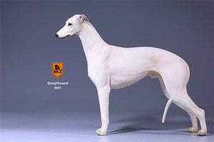 Mr.Z 1/6 Greyhound Dog Figure