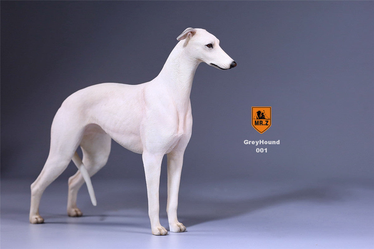 Mr.Z 1/6 Greyhound Dog Figure