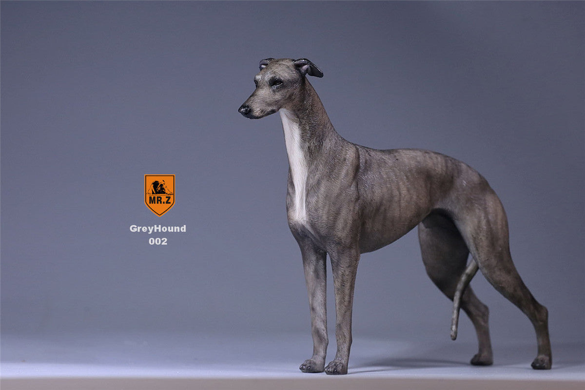 Mr.Z 1/6 Greyhound Dog Figure
