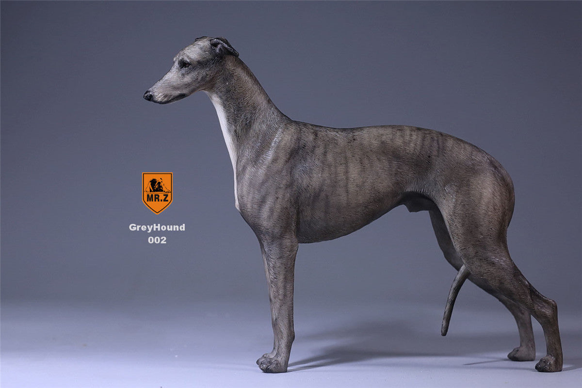 Mr.Z 1/6 Greyhound Dog Figure