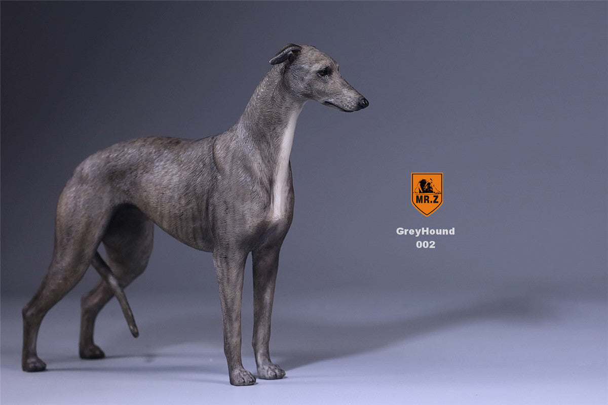 Mr.Z 1/6 Greyhound Dog Figure