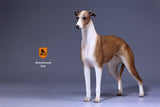 Mr.Z 1/6 Greyhound Dog Figure