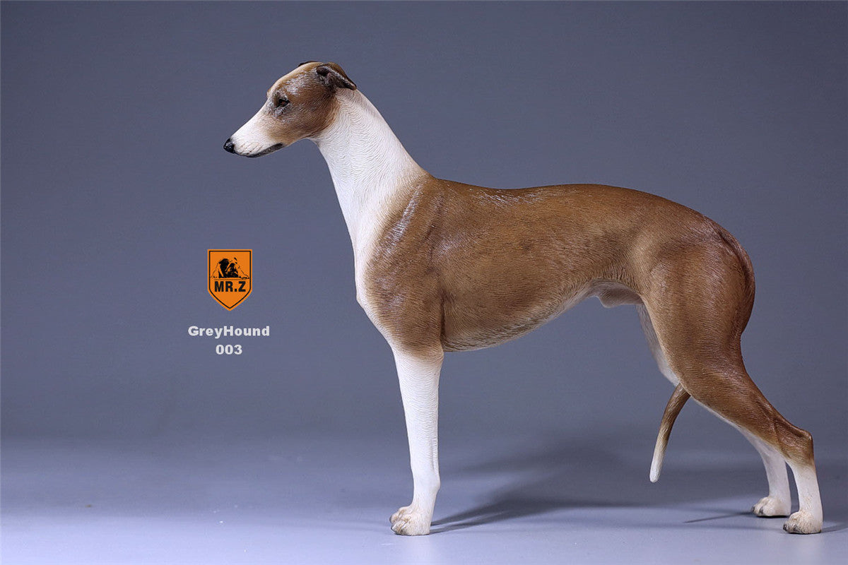 Mr.Z 1/6 Greyhound Dog Figure