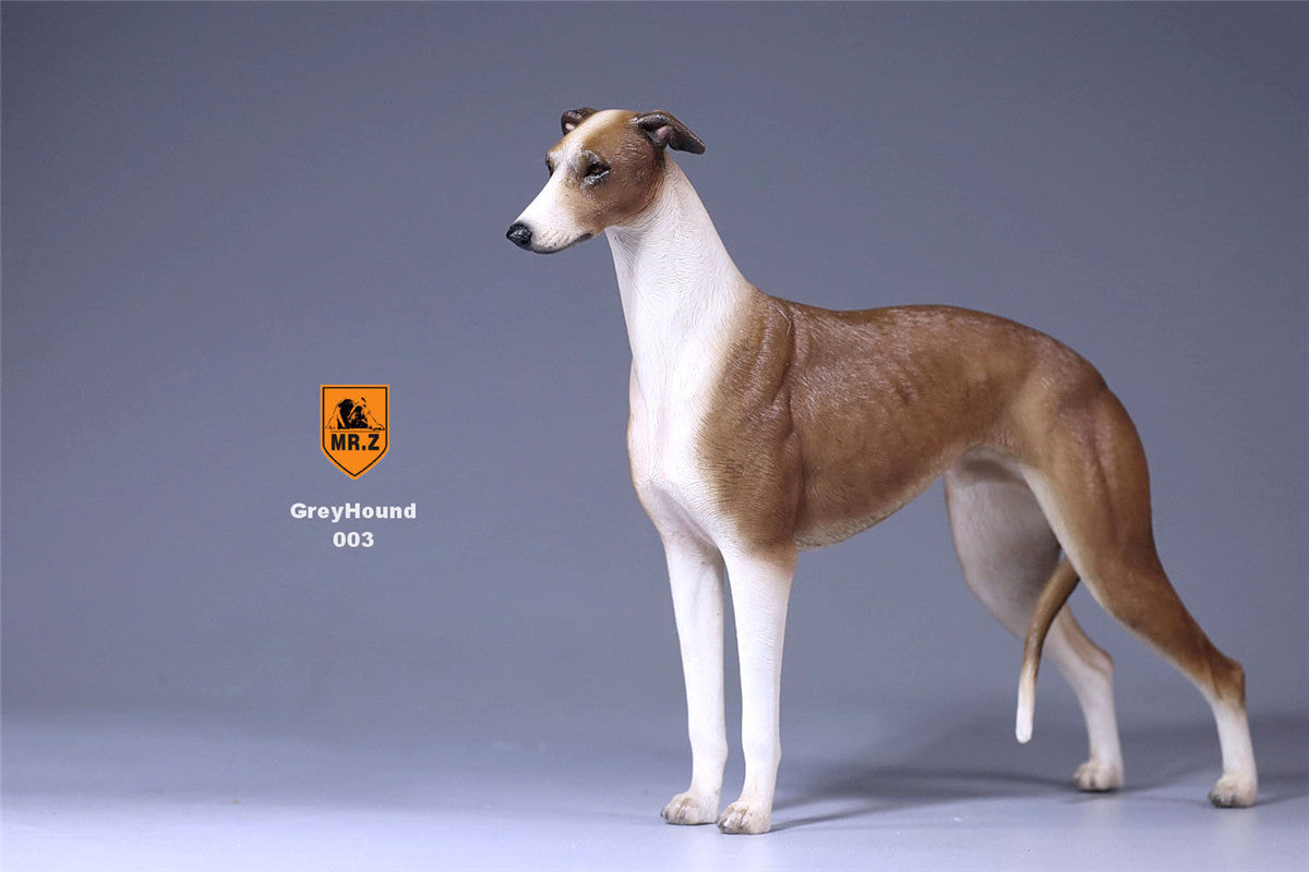 Mr.Z 1/6 Greyhound Dog Figure