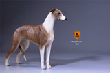 Mr.Z 1/6 Greyhound Dog Figure