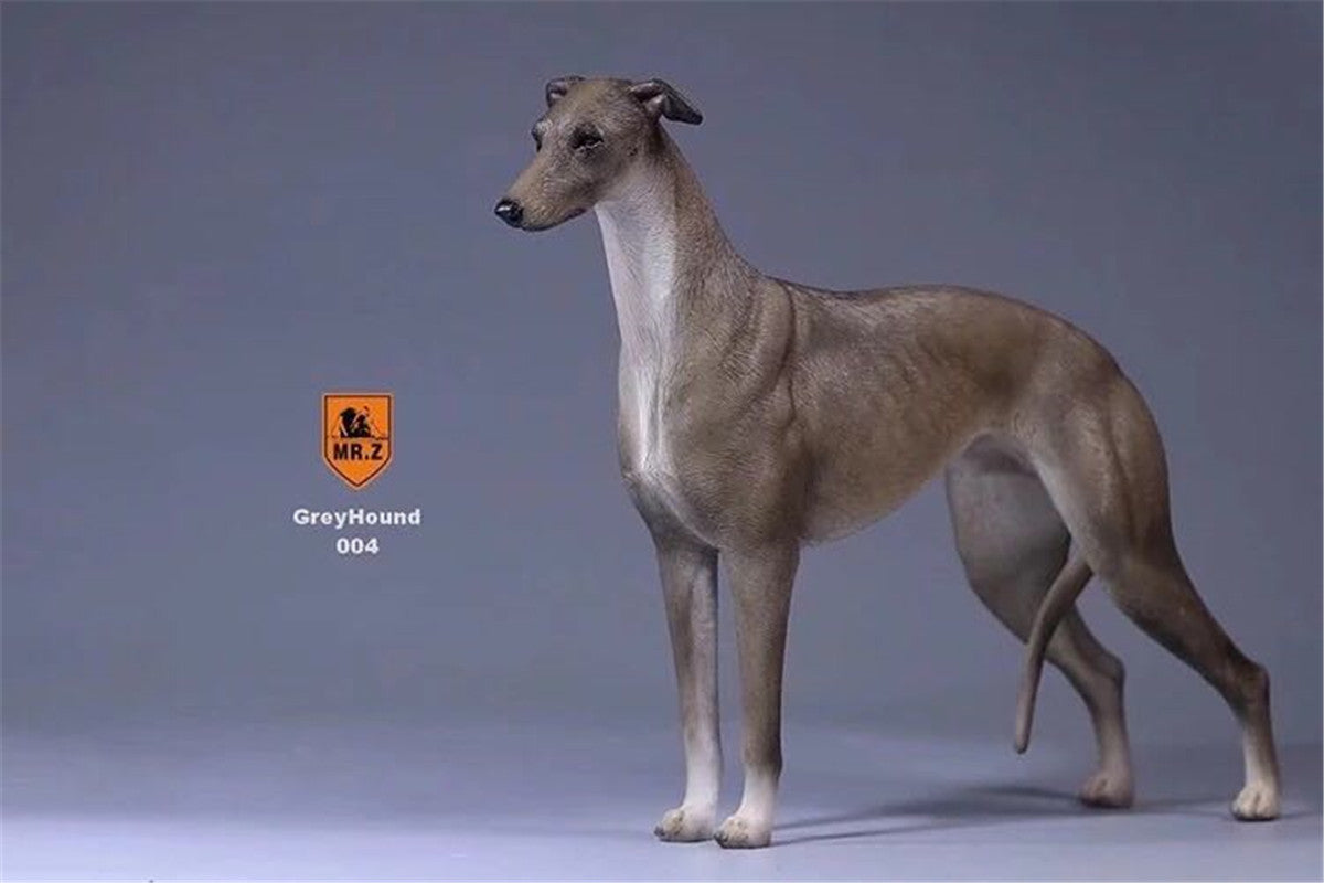 Mr.Z 1/6 Greyhound Dog Figure