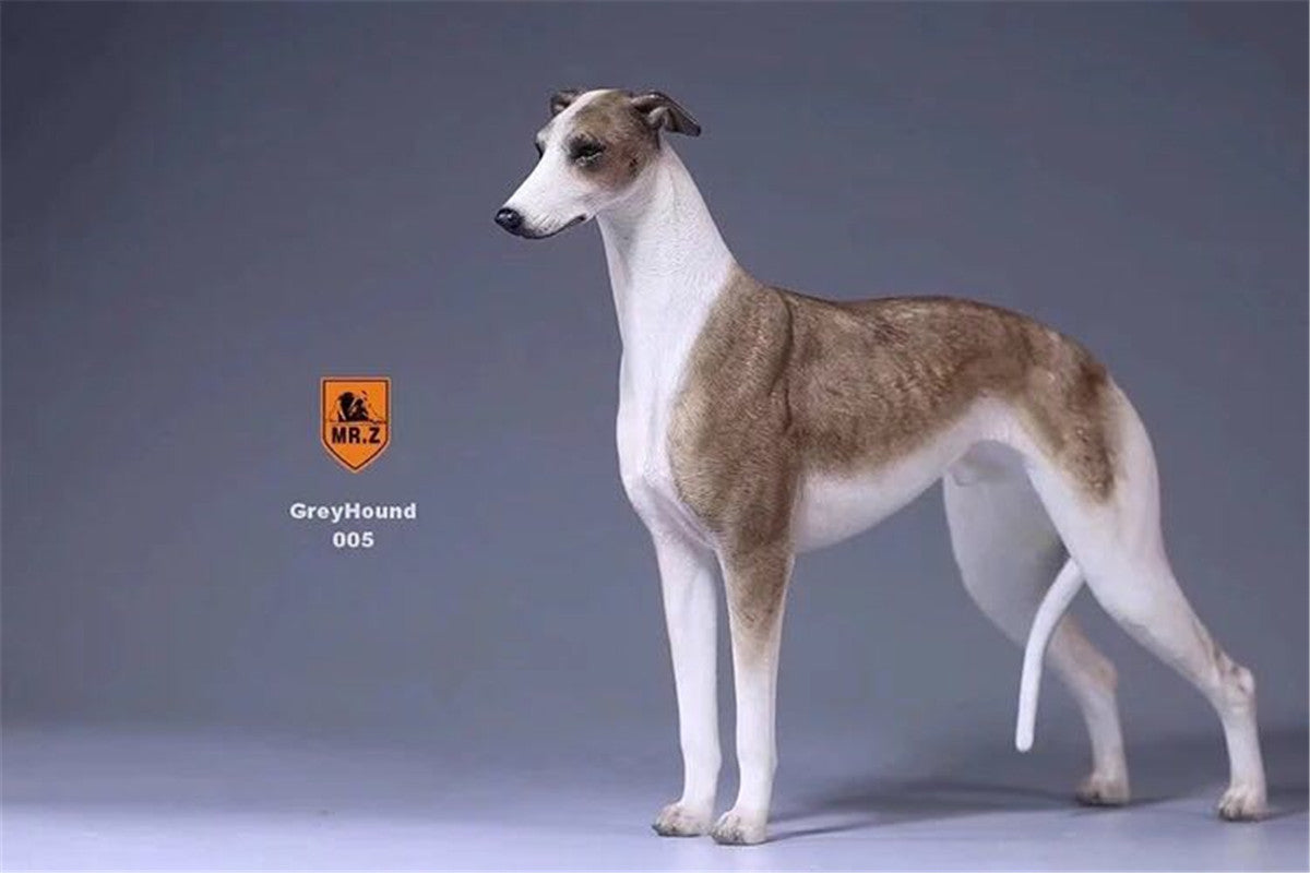 Mr.Z 1/6 Greyhound Dog Figure