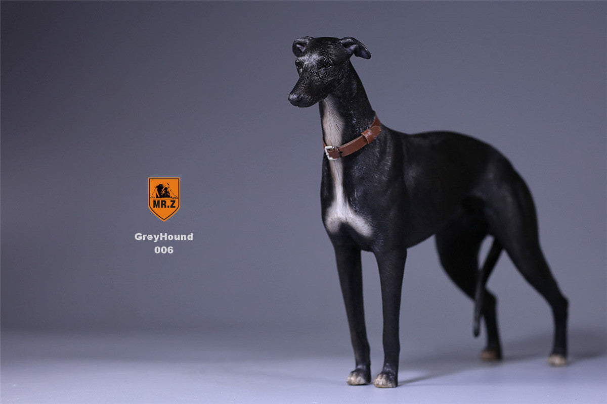 Mr.Z 1/6 Greyhound Dog Figure