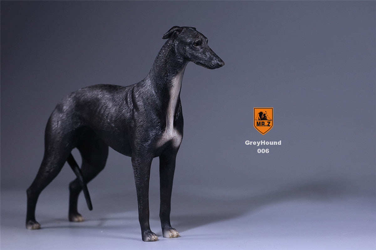 Mr.Z 1/6 Greyhound Dog Figure