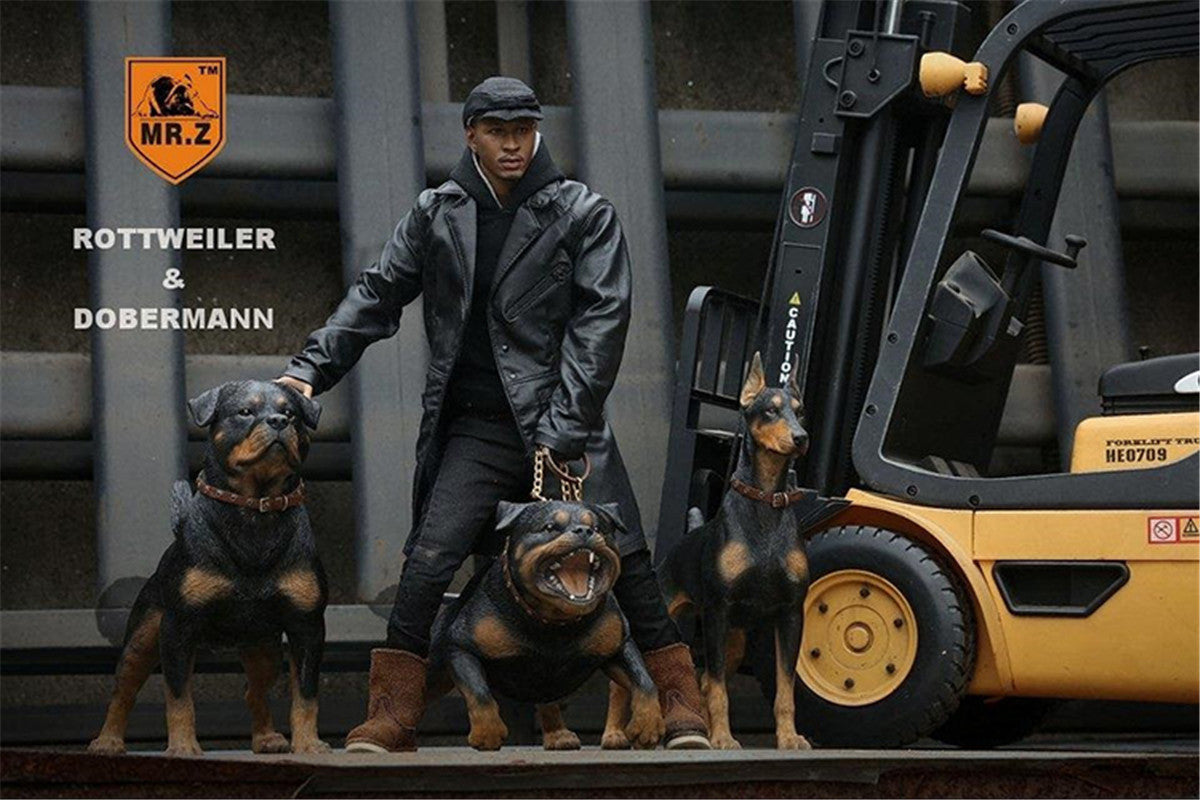 Mr.Z 1/6 Rottweiler Loyal Dog Figure