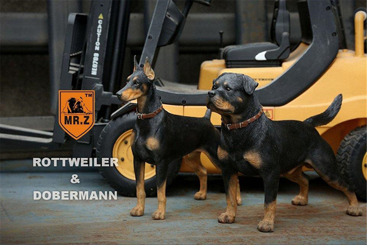 rottweiler MA-1 kj着用 rottweiler MA-1 kj着用