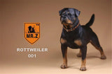 Mr.Z 1/6 Rottweiler Loyal Dog Figure