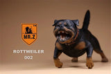 Mr.Z 1/6 Rottweiler Loyal Dog Figure