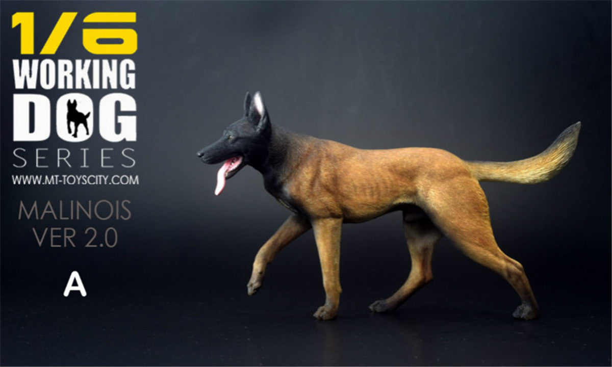 1/6 Working Belgian Malinois Figure