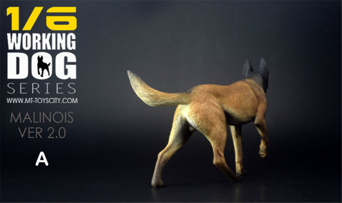 1/6 Working Belgian Malinois Figure