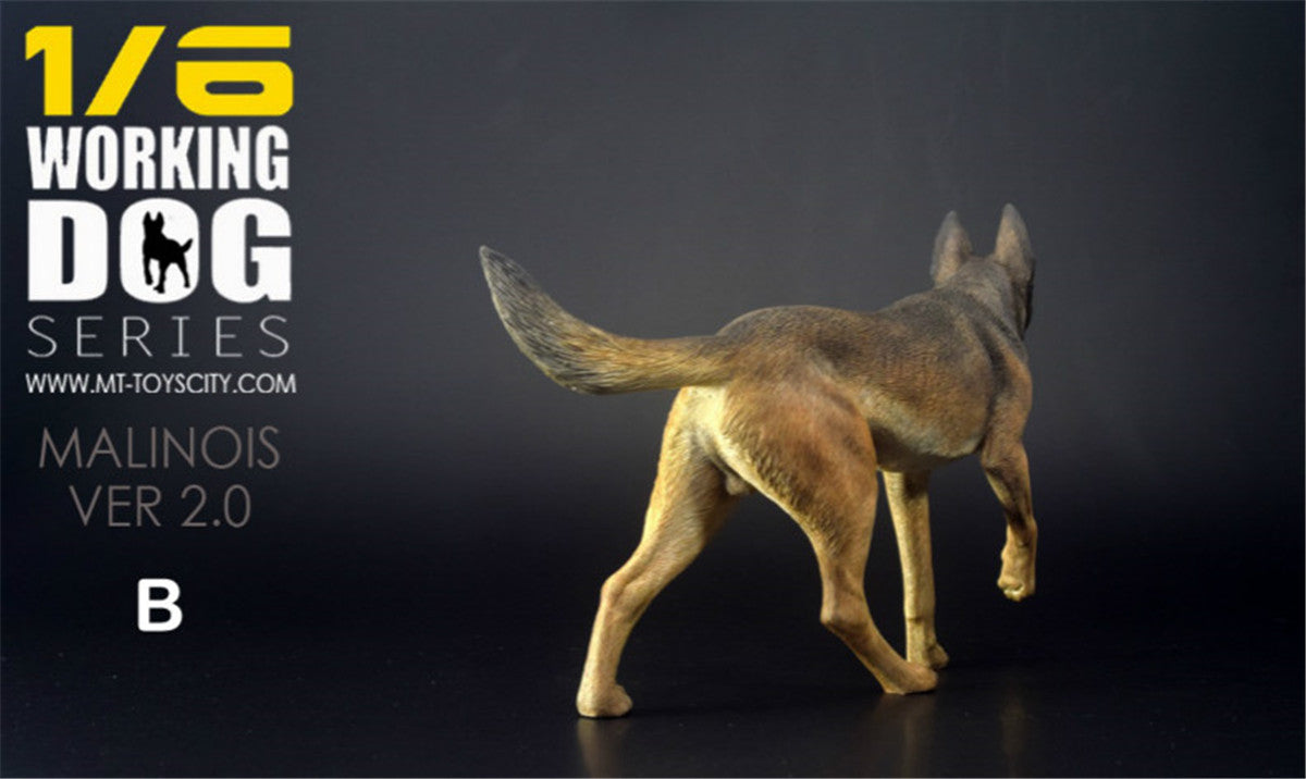 1/6 Working Belgian Malinois Figure